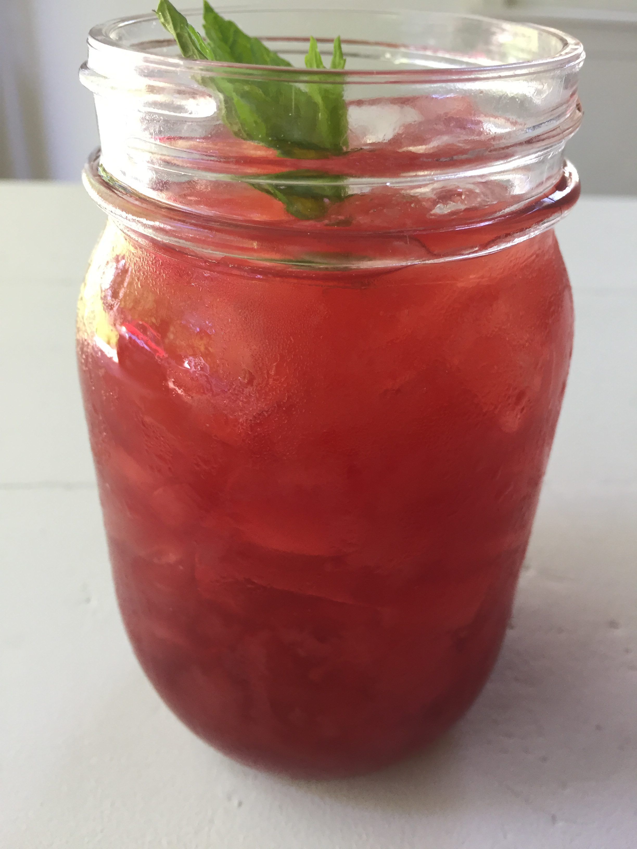 Hibiscus Mint Julep