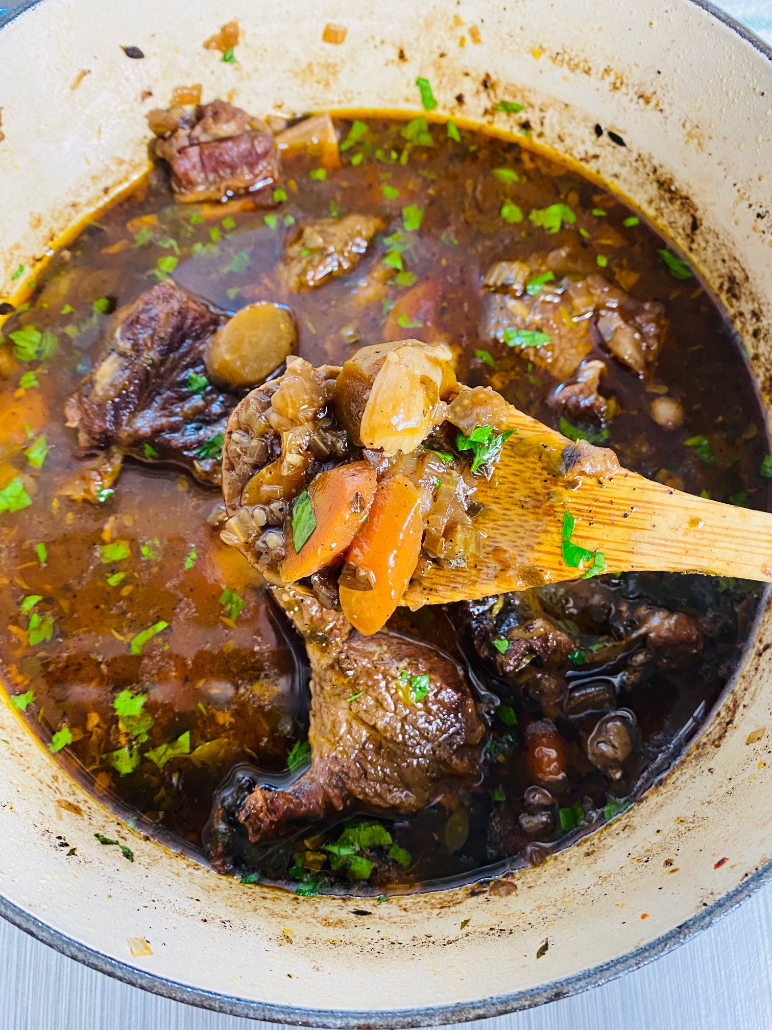Guinness Braised Short Ribs served in an enameled cast-iron Dutch Pot in a seasoned, thickened broth with sliced, multi-color petit carrots and sprinkled with chopped flat leaf parsley